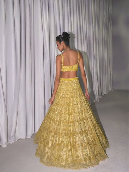 Zehra Butterfly Net Dori & Heavy Sequins Embroidered Lehenga Choli