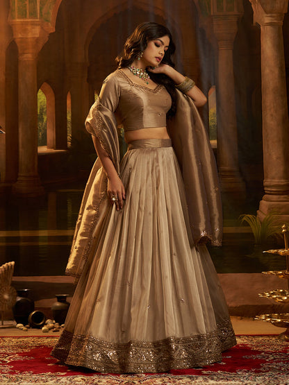 Naylira Brown Art Silk Organza Lehenga Set