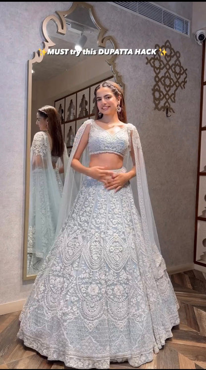 Anika Net Sequins & Thread Work Lehenga Choli Set