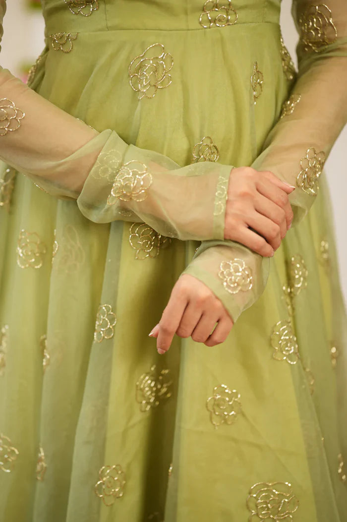 Haripriya Pastel Green Organza Anarkali