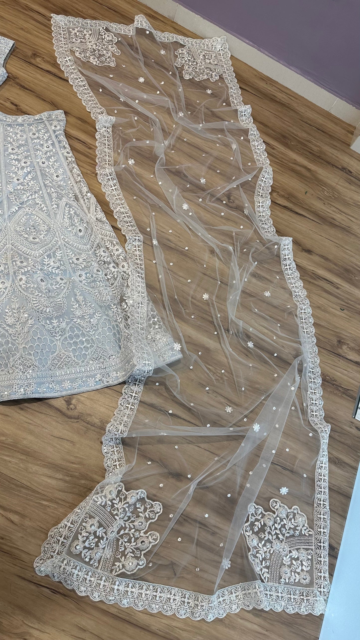 Anika Net Sequins & Thread Work Lehenga Choli Set