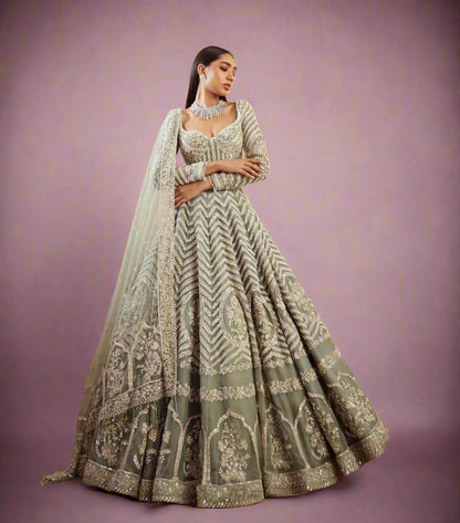 New Light Pista Colour Zari Work Lehengha Choli