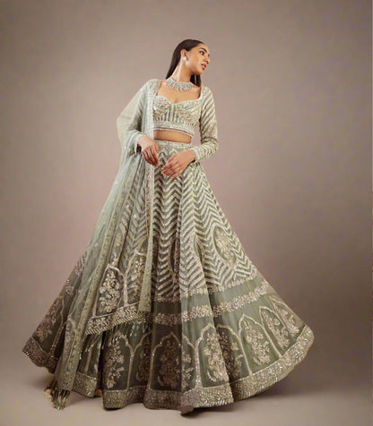 New Light Pista Colour Zari Work Lehengha Choli