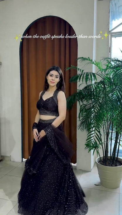 Nyra Net Sequins Zari Lehenga Choli