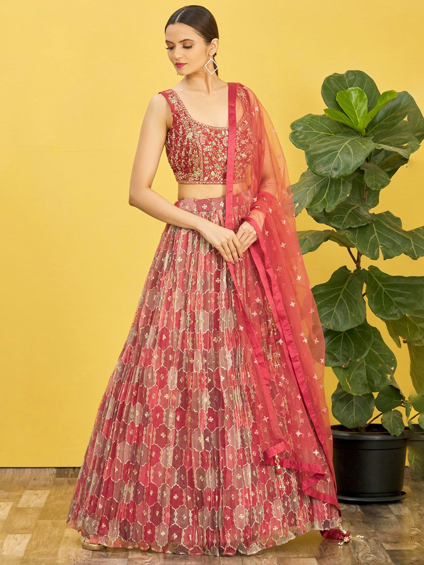 Bhavya Mohini Floral Elegance Oreganza Lehengha Choli