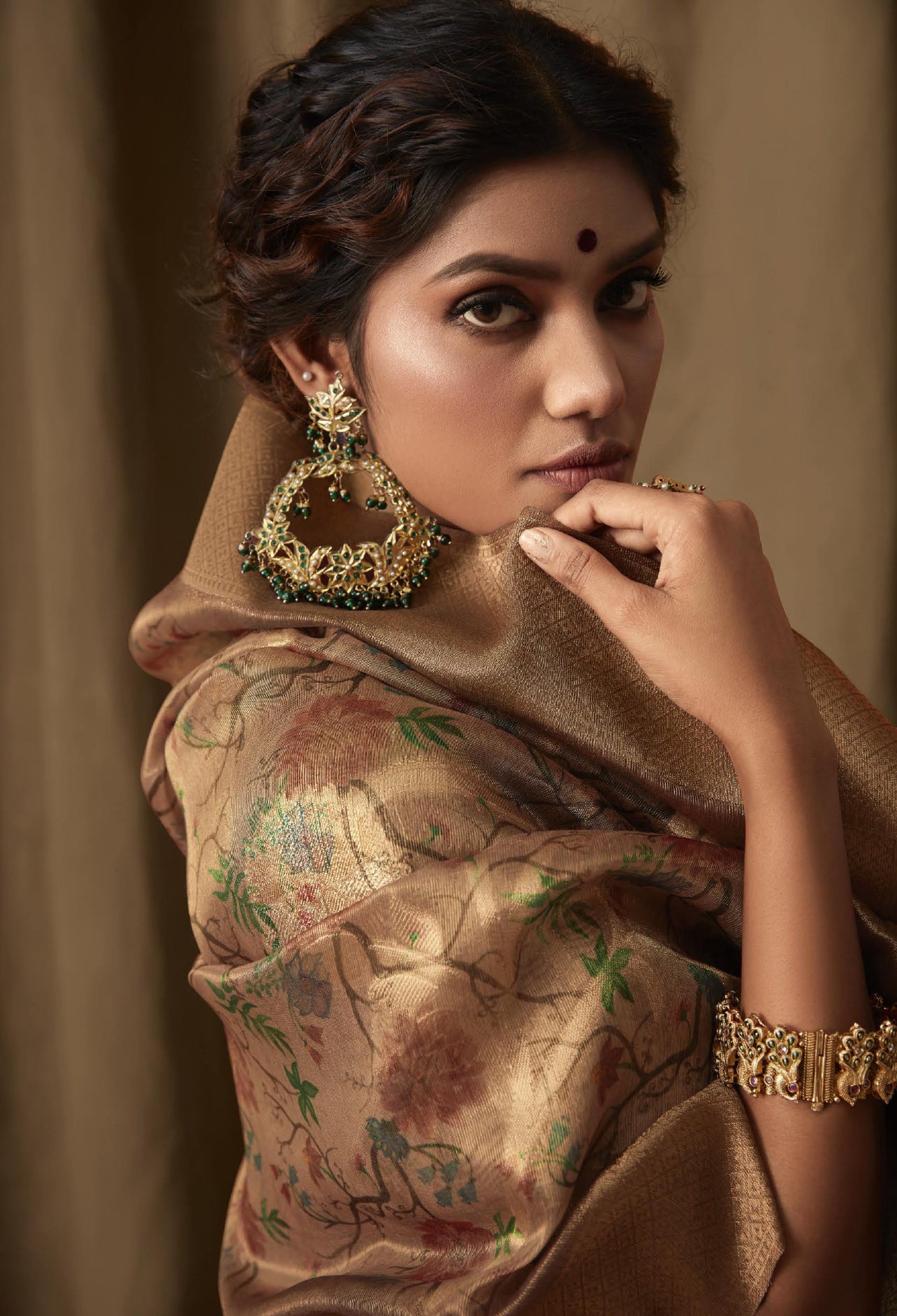 Pranika Dark Beige Jacquard Saree