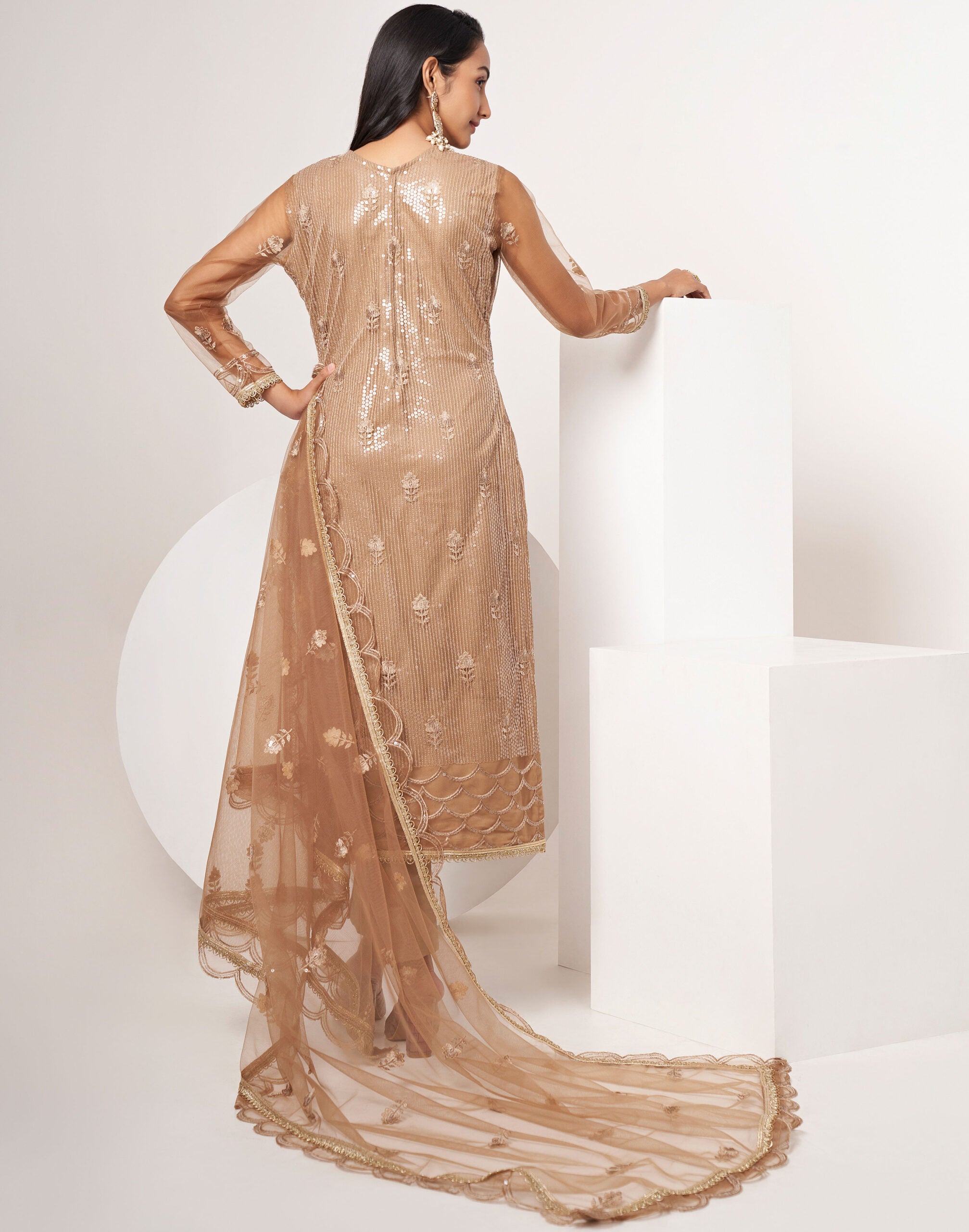 Amraya Brown Butterfly Salwar Kameez